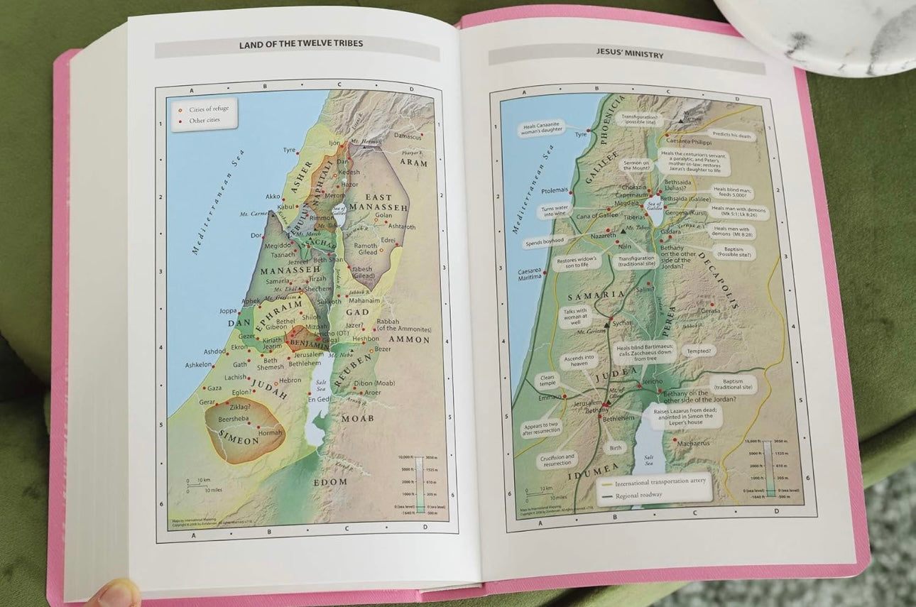 NIV Gift and Award Bible, Leather-Look, Pink, Red Letter