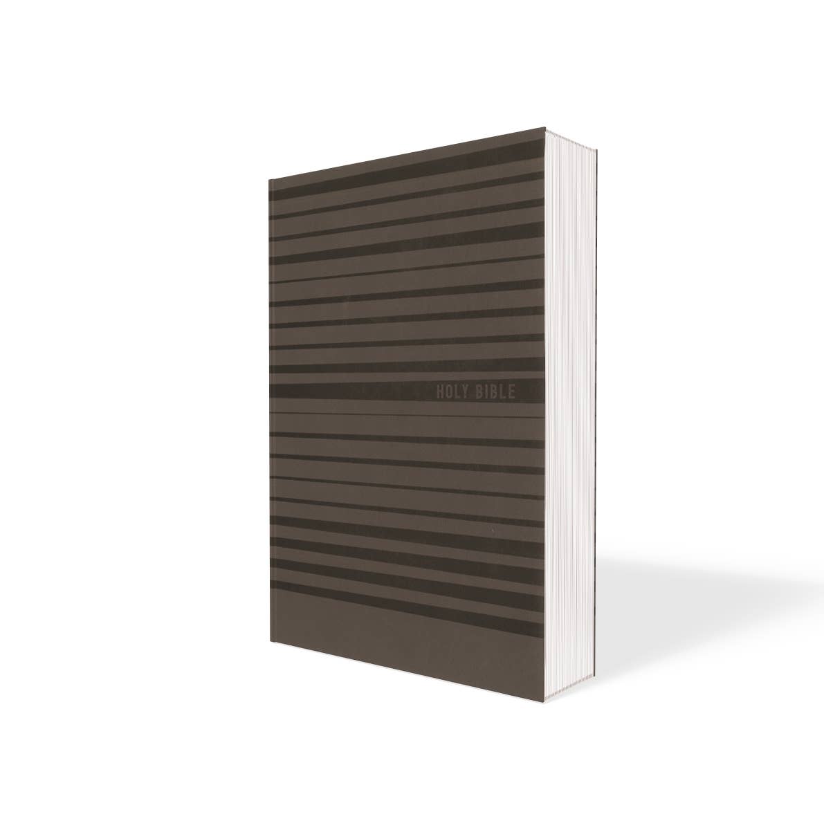 NIV Bible for Boys, Soft Touch Edition, Leathersoft, Gray